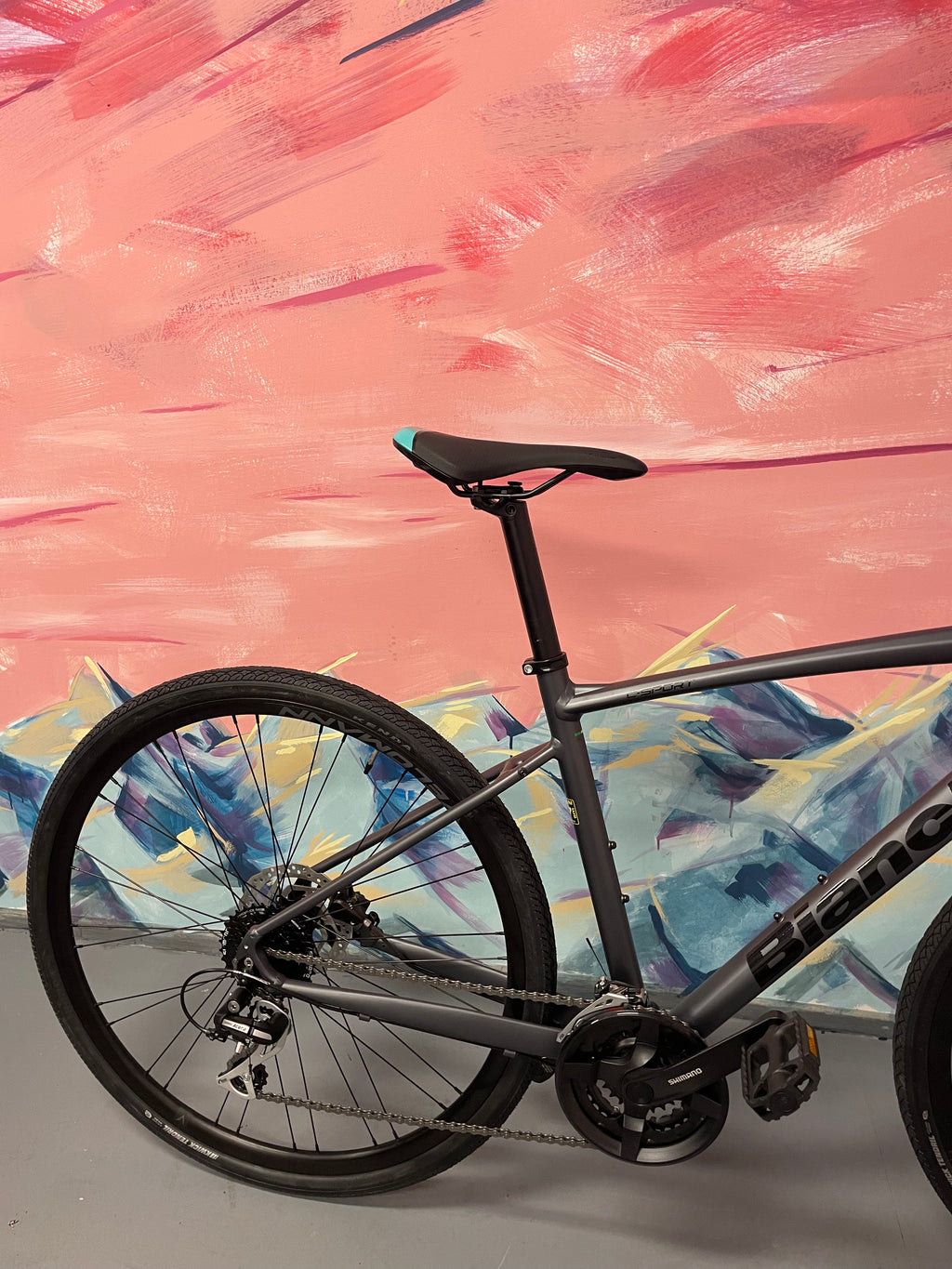 YQBD9 C-Sport 2 - Acera 24sp Disc Render