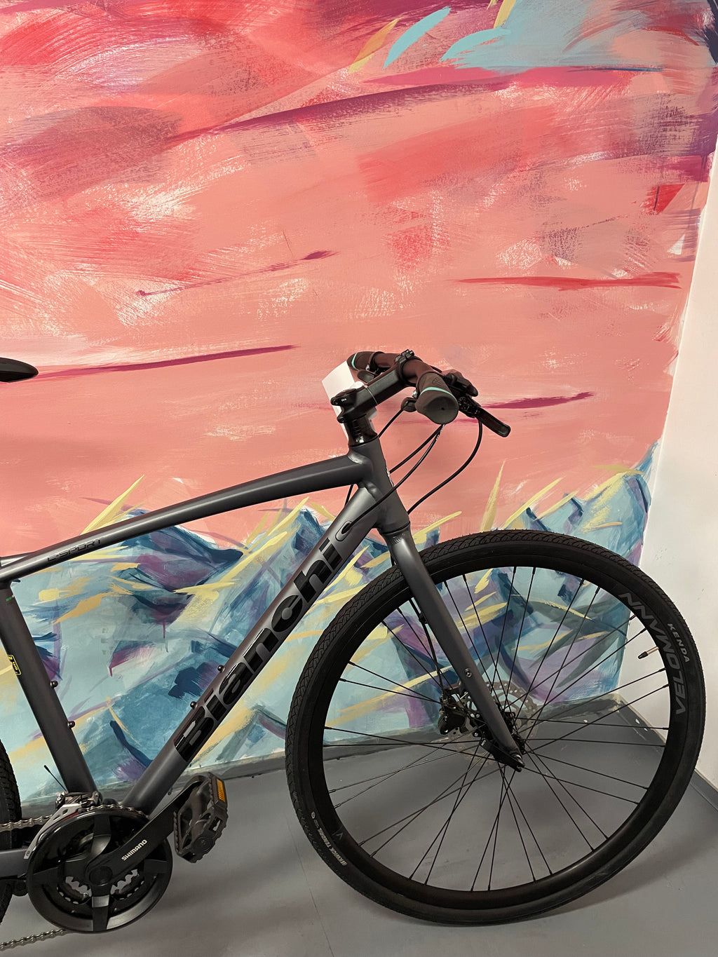 YQBD9 C-Sport 2 - Acera 24sp Disc Render