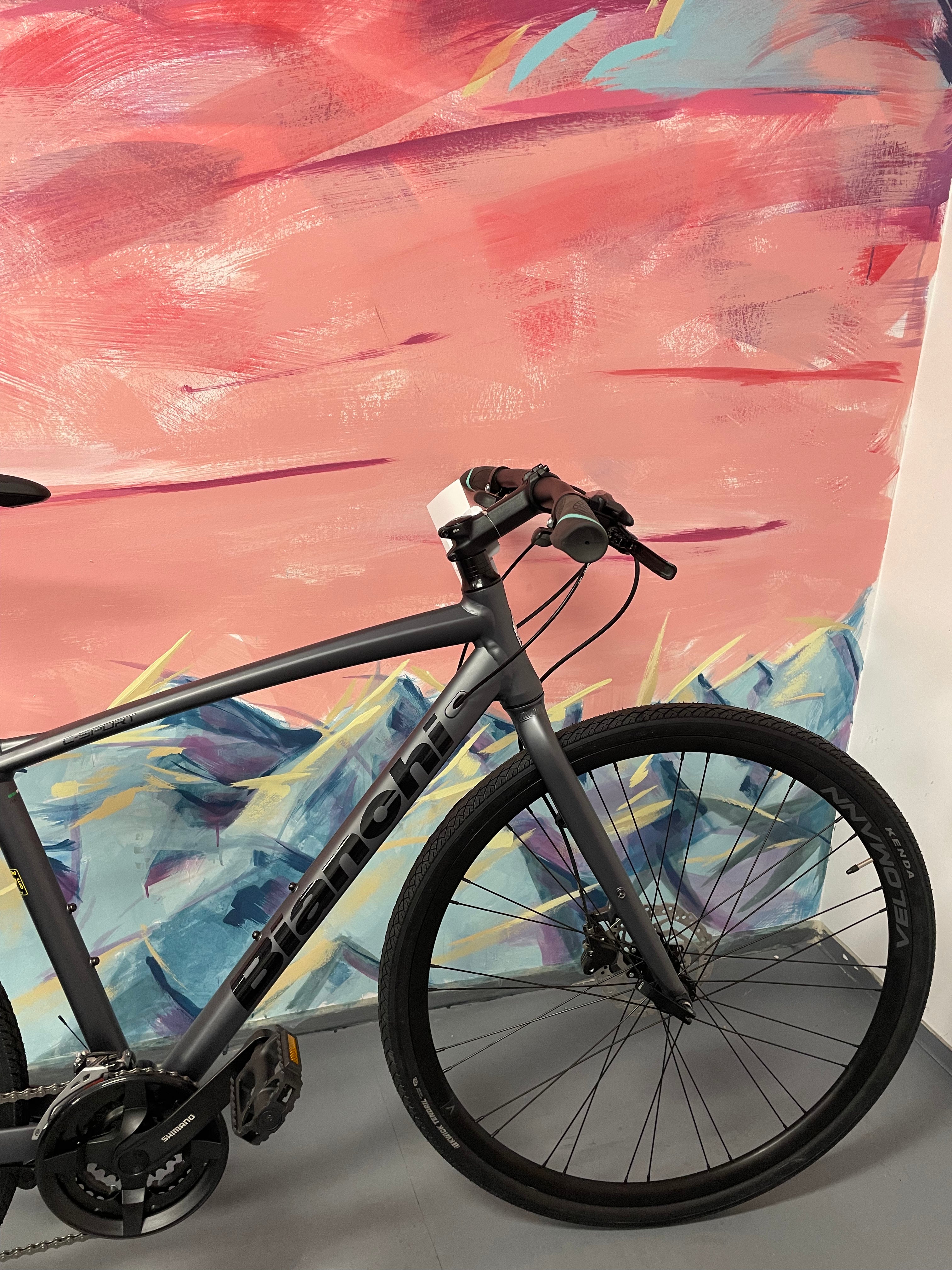YQBD9 C-Sport 2 - Acera 24sp Disc Render